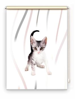 Rollo Loki vertic Katzenbaby, Rollo, Motivrollo, Rollo mit Druck, Fotorollo, bedrucktes Rollo, Fensterrollo,verdunkelndes Rollo, Sonnenschutz Rollo